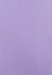 faina Women's Velvet Skirt With Glitter