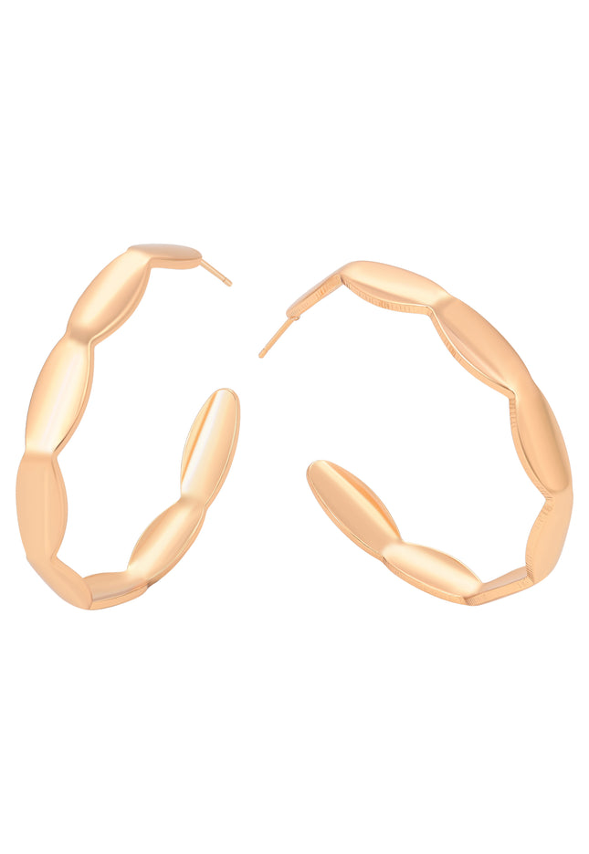 faina Women's Earrings