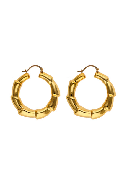 faina Women's Earrings