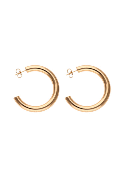faina Women's Earrings